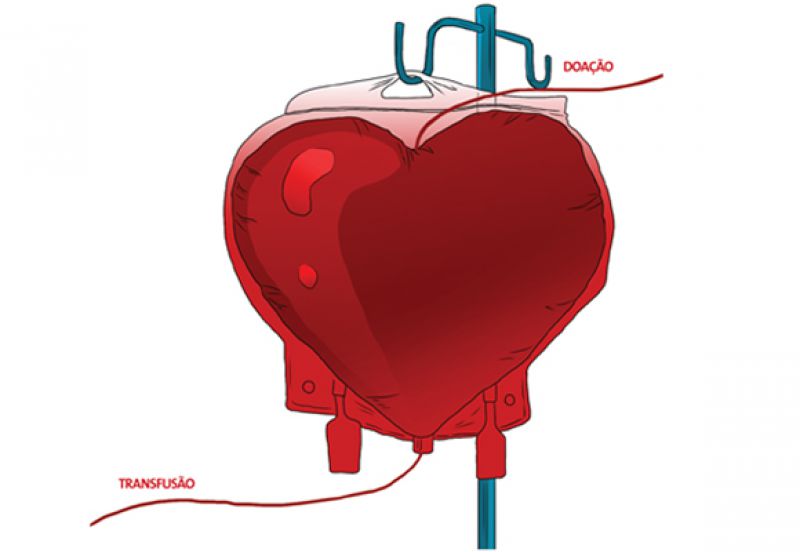  Entenda como funciona o processo da doação de sangue 