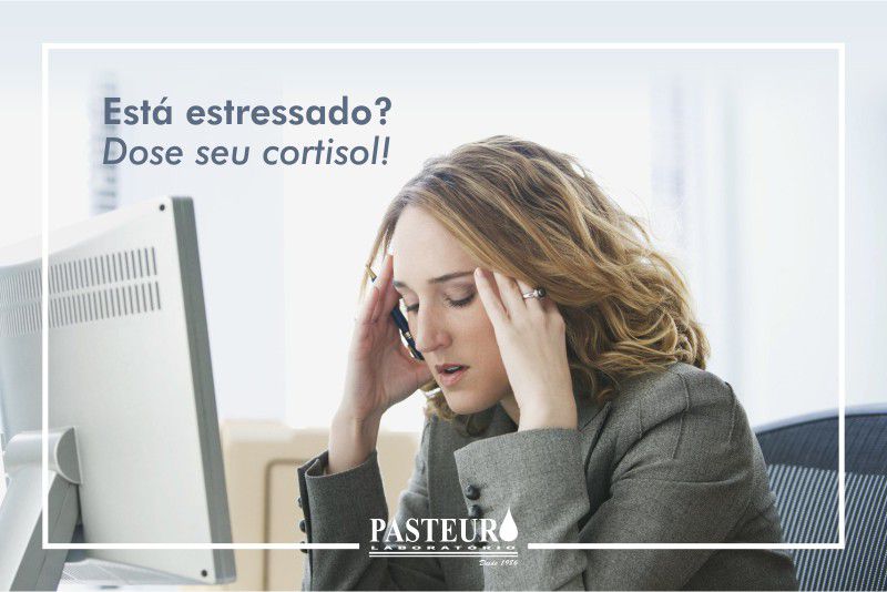  Cortisol x Estresse