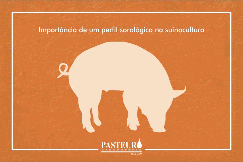  Importância de um perfil sorológico na suinocultura