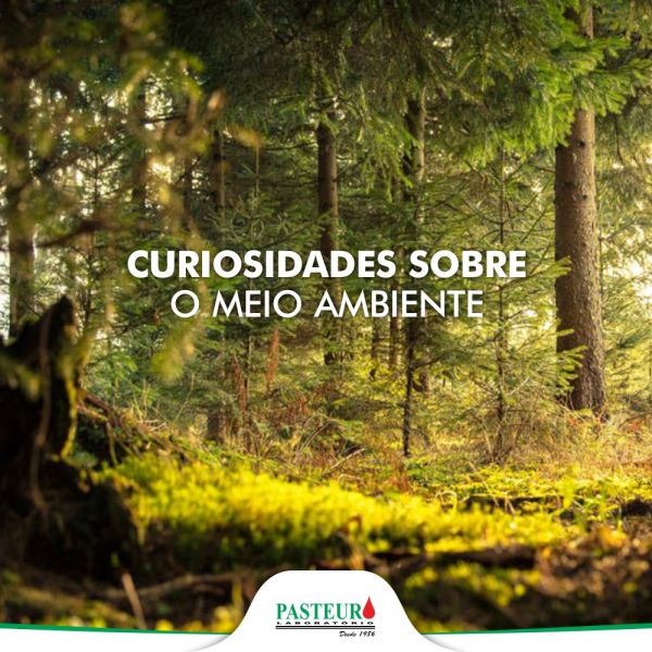  Curiosidades sobre o meio ambiente