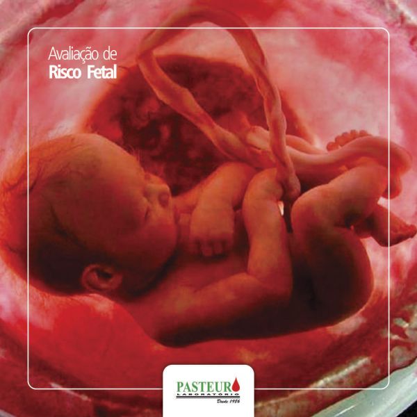  Avaliação de Risco Fetal