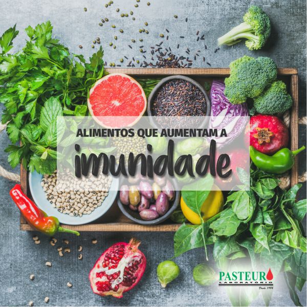  Alimentos que aumentam a imunidade