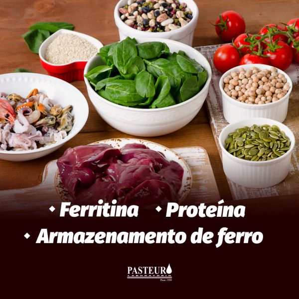  Ferritina