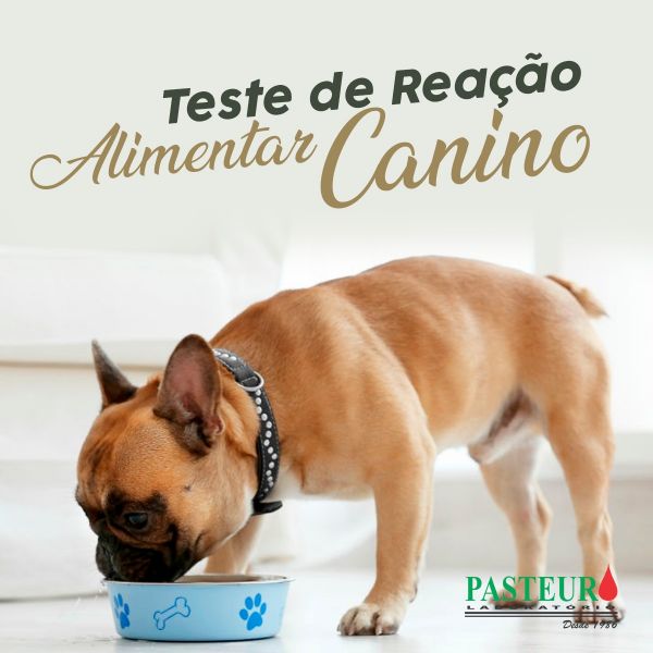  Teste de Reação Alimentar Canino