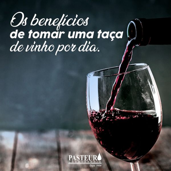  Vinhos