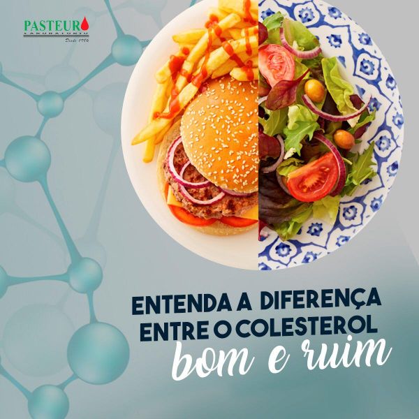  COLESTEROL: entenda as diferenças entre o bom e o ruim.