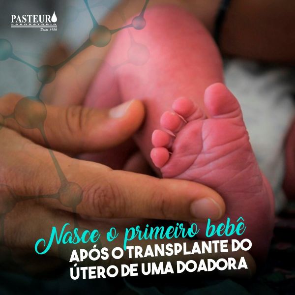  Nasce o primeiro bebê após um transplante do útero de uma doadora 