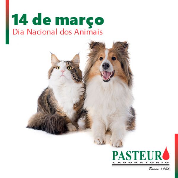  Dia Nacional dos Animais